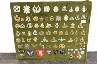 Lot 884 - Board mounted with a over eighty British, Commonwealth and other cap badges to include Essex Regiment, Parachute Regiment and Norfolk Regiment (qty)