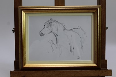 Lot 1809 - Lesley Fotherby (b.1946) pencil drawing - Pony Hovering Hopefully, initialled, in glazed gilt frame, 14cm x 19.5cm 
Provenance: Chris Beetles Ltd. London