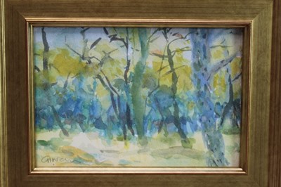 Lot 1743 - *Geraldine Girvan (b.1947) watercolour - Winter Light and Birches, signed, in glazed gilt frame, 13.5cm x 19.5cm 
Provenance: Chris Beetles Ltd. London