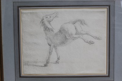 Lot 1294 - 17th century Italian School pencil drawing - a horse, in glazed gilt frame