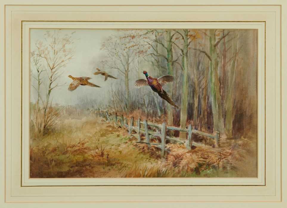 Lot 1039 - Roland Green (1896-1972) - watercolour- Pheasants in flight, 29cm x 44cm