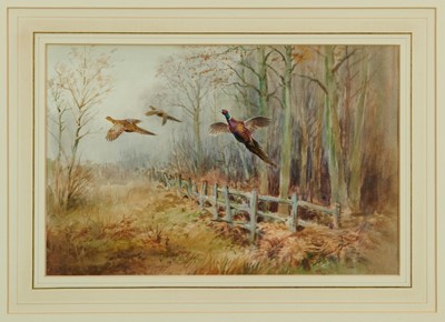 Lot 1039 - Roland Green (1896-1972) - watercolour- Pheasants in flight, 29cm x 44cm