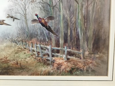 Lot 1039 - Roland Green (1896-1972) - watercolour- Pheasants in flight, 29cm x 44cm