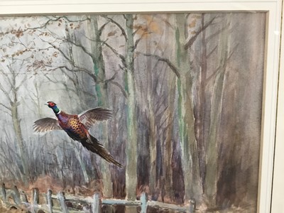 Lot 1039 - Roland Green (1896-1972) - watercolour- Pheasants in flight, 29cm x 44cm
