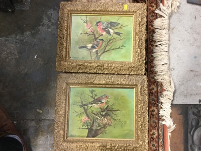Lot 286 - Group of assorted pictures and prints to include a pair of oil on board studies of song birds