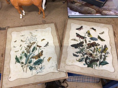 Lot 81 - Group of twelve hand coloured engravings, mostly 18th century, bird, butterfly and botanical