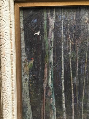 Lot 45 - Early 20th English oil on canvas - woodpecker among silver birches, indistinctly signed, framed
