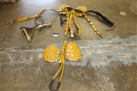 Lot 1922 - Selection of vintage Circus horse's tack -...