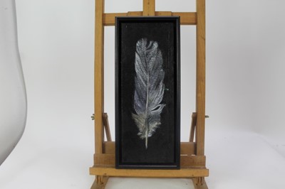 Lot 22 - Val Archer (b.1946) oil on paper laid on board - Owl Feather, initialled, framed, 35cm x 13cm 
Provenance: Chris Beetles Ltd. London