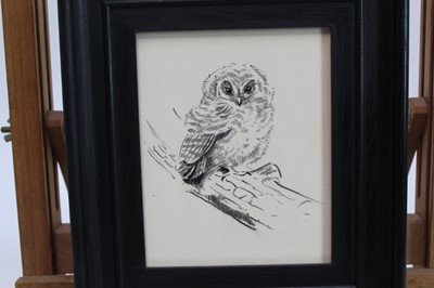 Lot 1706 - Eileen Soper (1905-1990) pencil and charcoal - Rescued Owl, in glazed frame, 14.5cm x 11.5cm 
Provenance: Chris Beetles Ltd. London