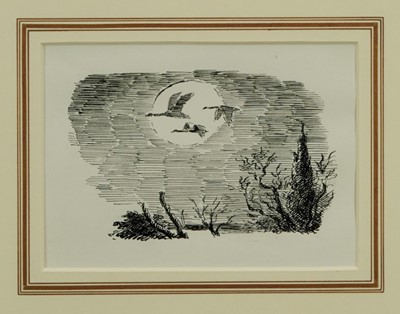 Lot 1881 - *Edward Ardizzone (1900-1979) pen and ink - Flight of the Swans, in glazed gilt frame