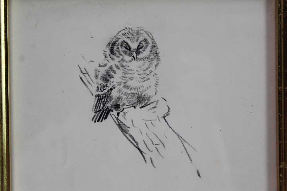Lot 1705 - Eileen Soper (1905-1990) pencil drawing - Napping Owl, in glazed gilt frame 
Provenance: Chris Beetles Gallery, London