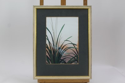 Lot 23 - Richard Constable (b.1932) two watercolours - Dragonflies, signed and dated 
1969 and 1970, in glazed frames