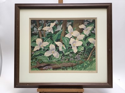 Lot 64 - Albert Joseph Casson (1898-1992), colour print - White Trillium, signed