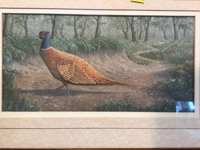 Lot 260 - Framed painting of a pheasant signed James Horster