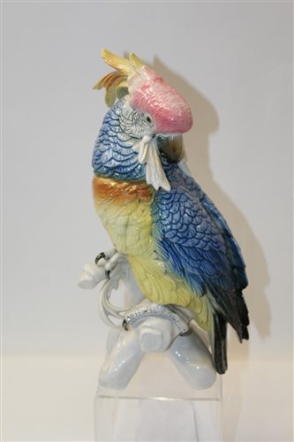 Lot 1043 - Large Karl Ens porcelain model of a cockatoo,...