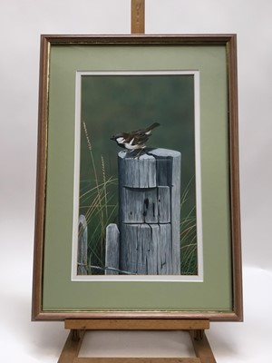 Lot 71 - Len Dally acrylic on paper - sparrow on a post