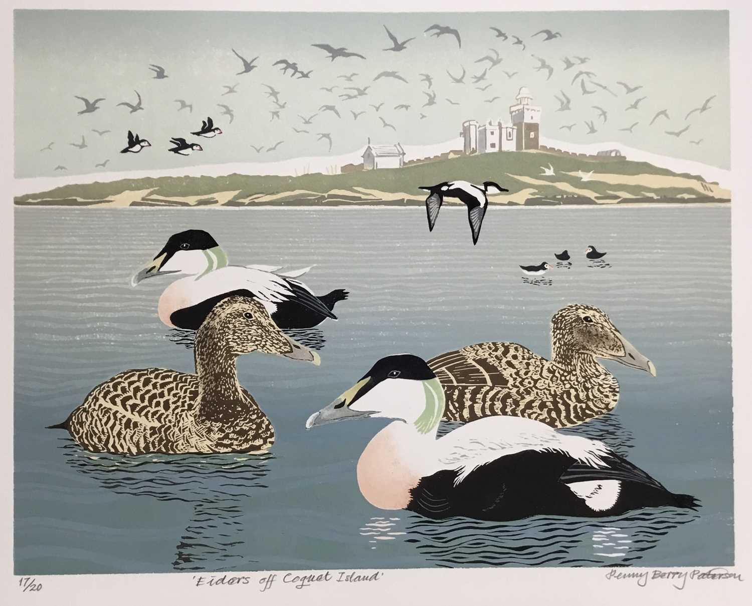 Lot 169 - Penny Berry Paterson (1941-2021) colour linocut print, Eiders off Coquat Island, signed and numbered 17/20, 32 x 41cm