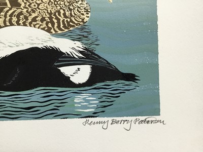 Lot 169 - Penny Berry Paterson (1941-2021) colour linocut print, Eiders off Coquat Island, signed and numbered 17/20, 32 x 41cm