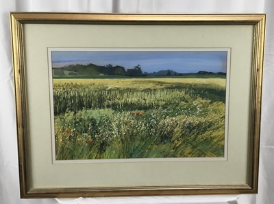 Lot 174 - Kit Leese ( contemporary) gouache, Cornfield Withermarsh Green, signed