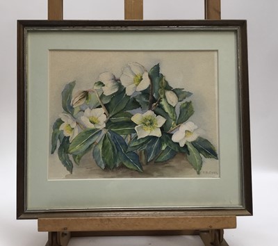 Lot 20 - Evangeline Dickson (1922-1992) watercolour - flowers, together with another watercolour of flowers
