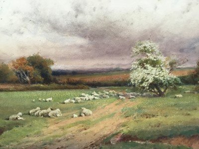 Lot 136 - Henry John Sylvester Stannard (1870-1951) watercolour - Sheep in a landscape