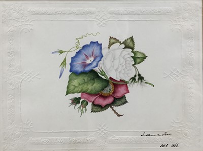 Lot 135 - 19th century botanical watercolour, dated 1866