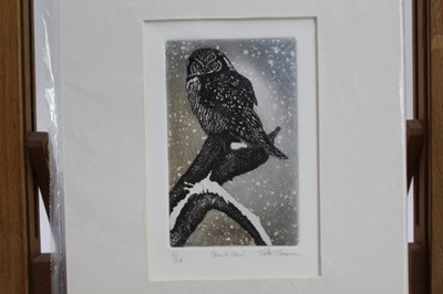Lot 1880 - Peter Beeson, contemporary, three signed limited edition etchings - Owls, Barn, Short eared and Hawk each signed and numbered, one framed, two mounted