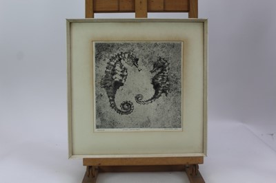 Lot 1896 - Simon Winch, signed artists proof etching - Seahorses, 1965, 23cm square, in glazed frame