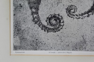 Lot 1896 - Simon Winch, signed artists proof etching - Seahorses, 1965, 23cm square, in glazed frame