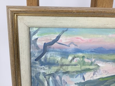 Lot 1893 - Margaret Thomas (1916-2016) oil on board - Winter Evening on the Waveney, initialled, titled verso, 24cm x 29cm, framed