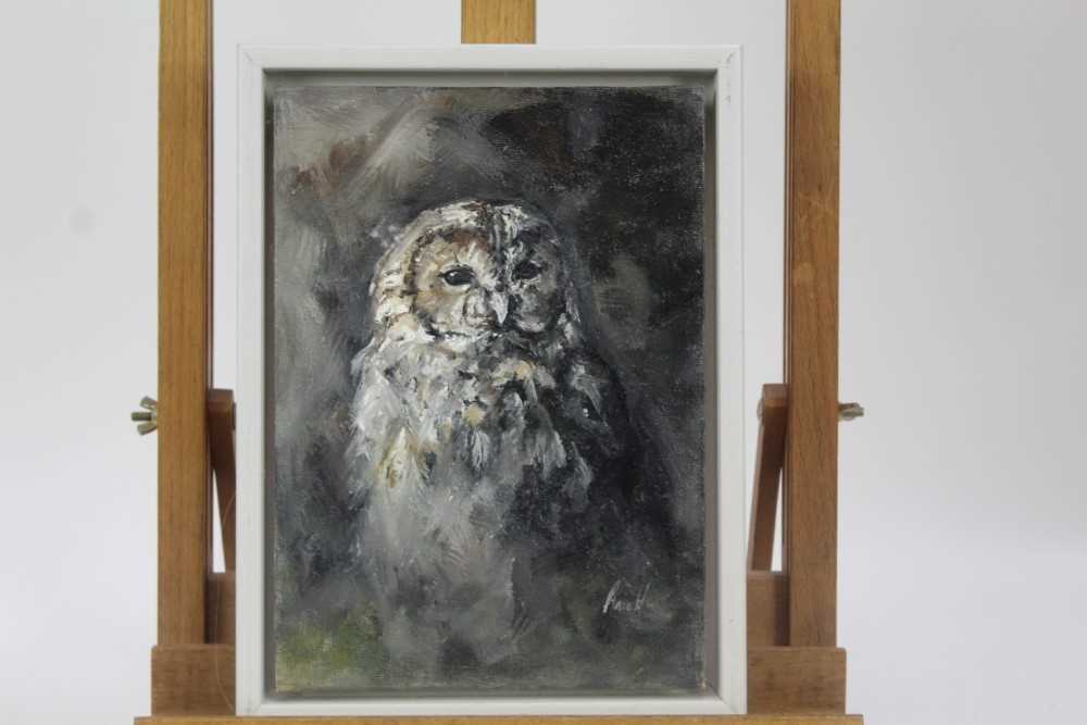 Lot 1894 - Contemporary, English School, two oils, one on board the other canvas - Owls, indistinctly signed, 25cm x 18cm and 50cm x 20cm (2)
