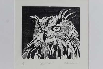 Lot 1711 - Peter Polaine, contemporary, two signed limited edition woodcuts - Eagle Owl, 1/30, mounted, and The Owl and the Pussycat, 1/35, in glazed frame