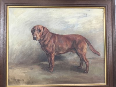 Lot 1032 - Florence Jay (act.1905-1920) oil on canvas - A Labrador, 'Sandgreen Reef', signed and dated 1932, 40cm x 50cm, in original oak frame