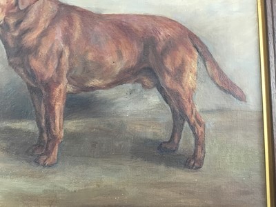 Lot 1032 - Florence Jay (act.1905-1920) oil on canvas - A Labrador, 'Sandgreen Reef', signed and dated 1932, 40cm x 50cm, in original oak frame