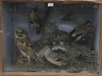 Lot 1009 - Display of six birds within naturalistic setting in glazed case