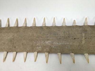 Lot 1007 - 1950s Sawfish Rostrum