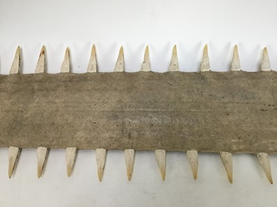 Lot 1007 - 1950s Sawfish Rostrum