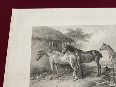 Lot 1029 - 19th century engraving by George Zobel after Sir Edwin Landseer - Hunters at Grass, published by Fishel, Adler & Co., 50cm x 66cm, unframed