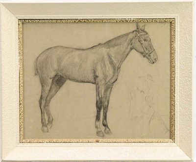 Lot 1159 - Robert G. D. Alexander (1875-1945) pencil drawing - A Horse, dated '97, from the artists Slade portfolio, 38cm x 48cm, in glazed frame