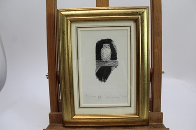 Lot 1838 - *Ernest Howard Shepard (1879-1976) pen and ink - 'Come Up Here! Said The Old Owl, inscribed beneath mount, in glazed gilt frame, 18cm x 11cm 
Provenance: Chris Beetles Ltd., London