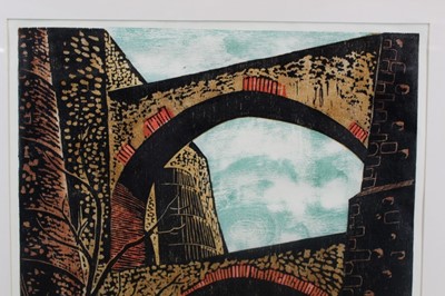 Lot 84 - Penny Berry Paterson (1941-2021) signed limited edition woodcut - Elvas Aquaduct, 4/5, 78.5cm x 58cm in glazed frame