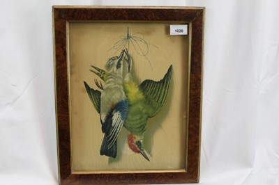 Lot 1020 - Pair of 19th century French embossed lithographs - Dead Birds, 34cm x 26cm, in glazed frames