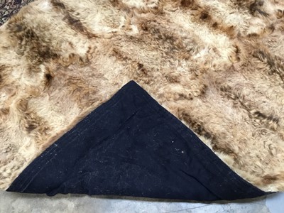 Lot 925 - Unusual Scottish wild cat rug with black felt backing
