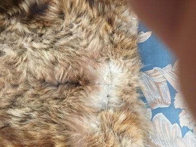 Lot 925 - Unusual Scottish wild cat rug with black felt backing