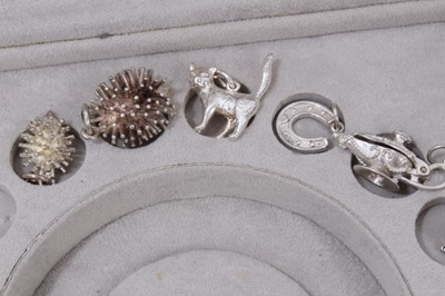 Lot 270 - Collection of silver and white metal charms within a Stackers jewellery box