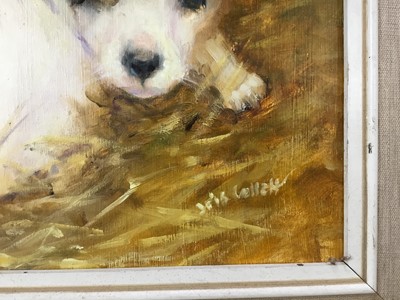 Lot 161 - Iris Collett   (b. 1938), oil on board, Two terrier dogs, signed, in painted frame.    
29 x 39cm.