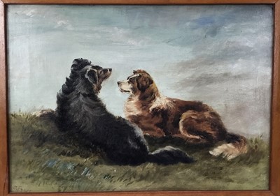Lot 152 - S. Frost, 19th century, oil on canvas,  two collie dogs, 
signed, in maple frame. 27 x 37cm.