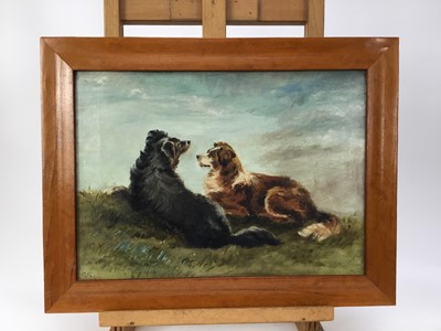 Lot 152 - S. Frost, 19th century, oil on canvas,  two collie dogs, 
signed, in maple frame. 27 x 37cm.