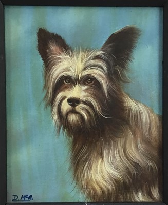 Lot 153 - D. McArthur, oil on canvas,  
"Buddy" a Yorkshire terrier, signed 
with initials, also inscribed on label verso, in black 
frame. 25 x 19cm.
